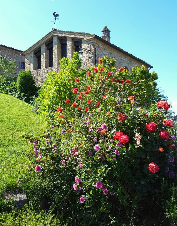 Podere Cunina Buonconvento Exterior foto